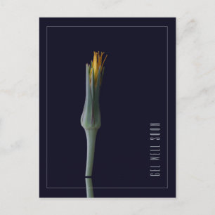 Carte Postale Fleurs Élégantes Simples Personnalisées pour un Ré
