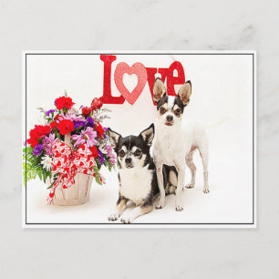 Carte Postale Fleurs et amour