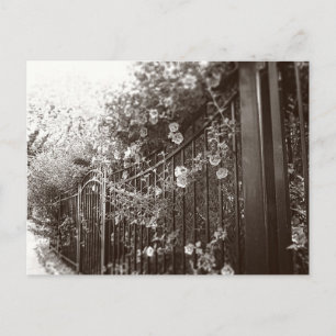 Carte Postale Fleurs et clôture en fer forgé, Tilt-Shift, B&W