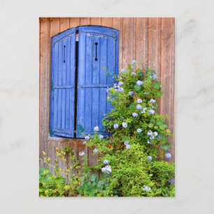 Carte Postale Fleurs et volets bleus