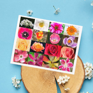 Carte postale Fleurs, Fleurs Partout