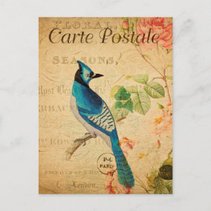 Carte Postale Fleurs florales vintages Jay Bleu