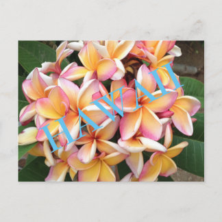 Carte Postale Fleurs Hawaii pour tous