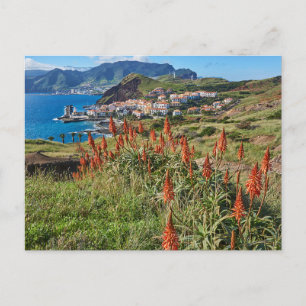Carte Postale Fleurs   Île de Madère Portugal