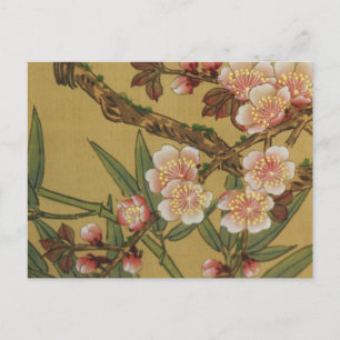 Carte Postale Fleurs Japonaises Asiatiques Floraison de Cerisier