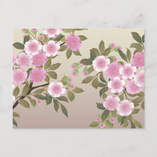 Carte Postale Fleurs japonaises de cerises