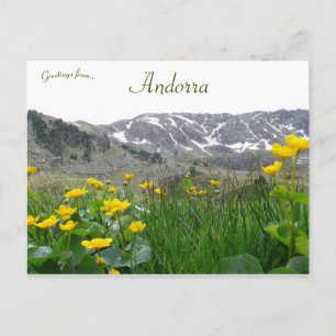 Carte Postale Fleurs jaunes près des Pyrénées Midi en Andorre