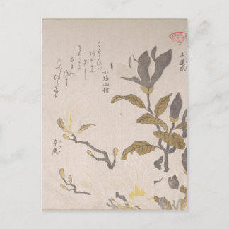 Carte Postale Fleurs Magnolia - Kubo Shunman (japonais)