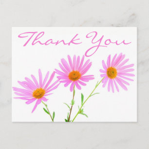 Carte Postale Fleurs marguerites en Merci rose