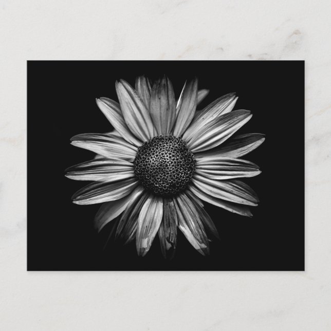 Carte Postale Fleurs Noires Et Blanches 18 (Devant)