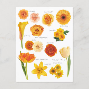 Carte Postale Fleurs orange