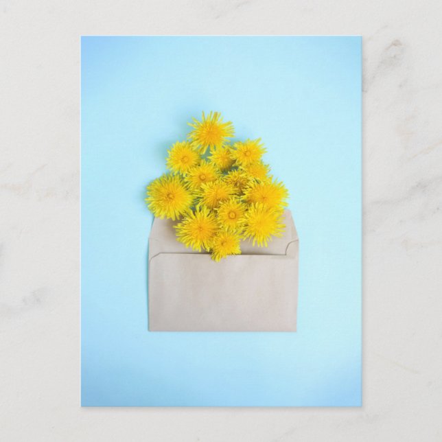 Carte Postale Fleurs | Pissenlits dans une enveloppe (Devant)