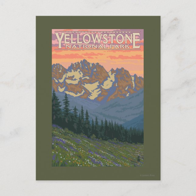 Carte Postale Fleurs printanières - Parc national de Yellowstone (Devant)