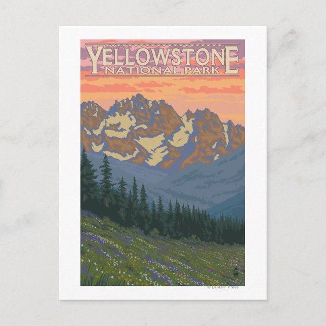 Carte Postale Fleurs printanières - Parc national de Yellowstone (Devant)