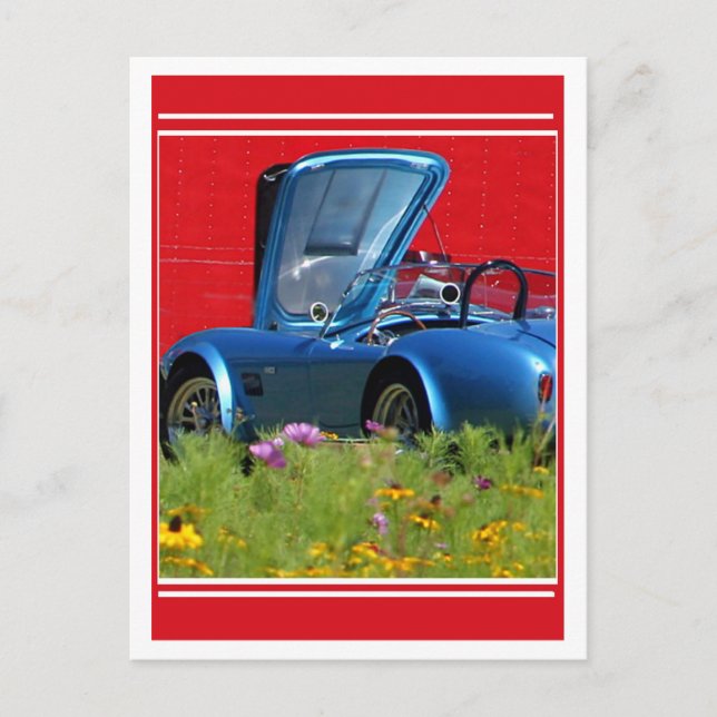 Carte Postale Fleurs rapides (Devant)
