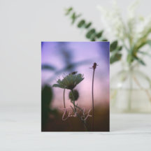 Fleurs romantiques Boho – Fantaisie botanique Merc