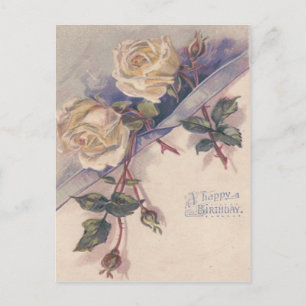 Carte Postale Fleurs Roses de Rose blanche