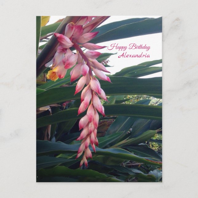 Carte Postale Fleurs Roses Élégantes Tropicales Anniversaire (Devant)