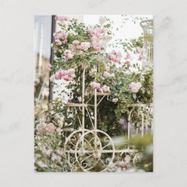 Carte postale Fleurs Roses Escalades