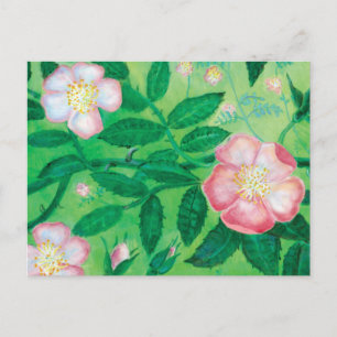 Carte Postale Fleurs Roses roses Jardin secret