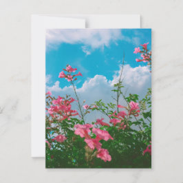Carte Postale Fleurs roses sous ciel bleu avec nuages - Nature