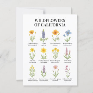 Carte Postale Fleurs sauvages de Californie - Aquarelle botaniqu