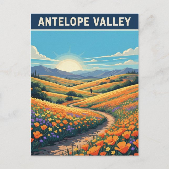 Carte Postale Fleurs sauvages de la Californie Antelope Valley (Devant)