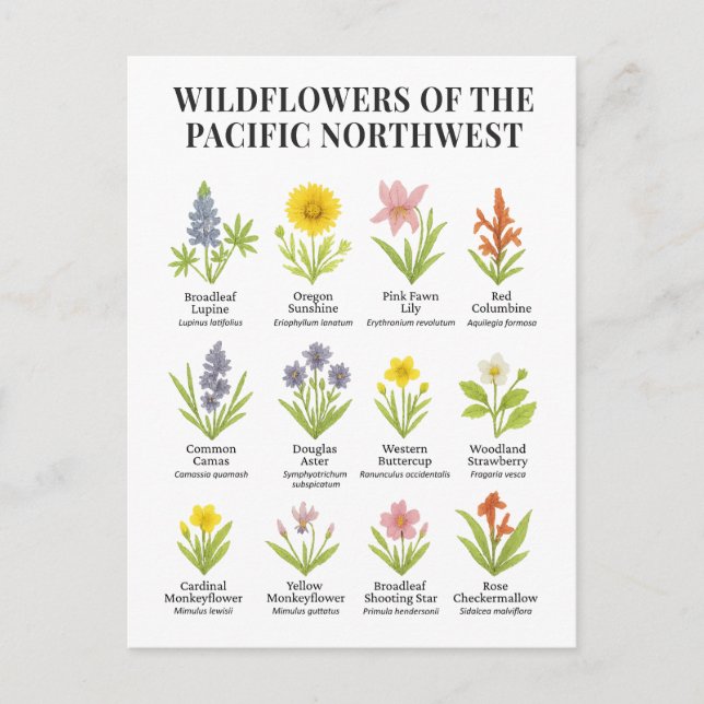Carte Postale Fleurs sauvages du Nord-Ouest du Pacifique - Aquar (Devant)