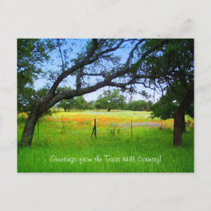 Carte Postale Fleurs sauvages Du Pays De Texas Hill