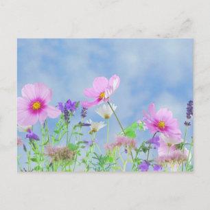 Carte Postale Fleurs sauvages, La beauté de la nature