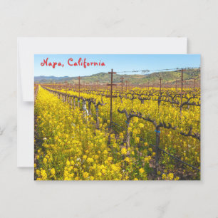 Carte Postale Fleurs sauvages viticoles