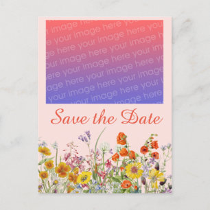 Carte Postale Fleurs sauvages vives  