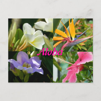 Carte Postale Fleurs tropicales de Kauai Hawaii