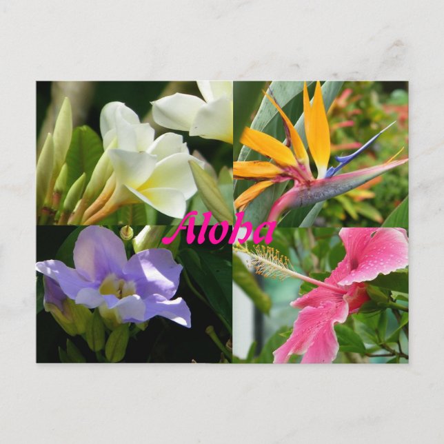 Carte Postale Fleurs tropicales de Kauai Hawaii (Devant)