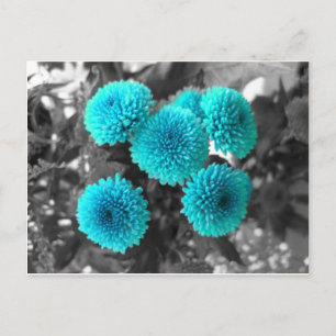 Carte Postale Fleurs turquoise