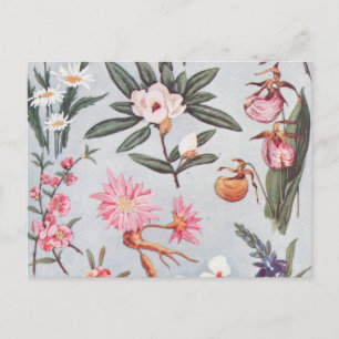Carte Postale Fleurs vintages