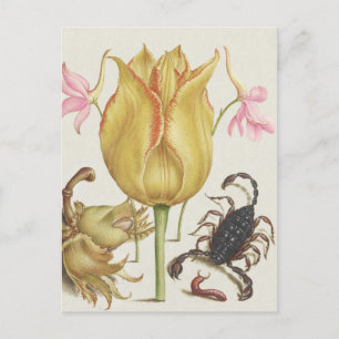 Carte Postale Fleurs vintages et Scorpian