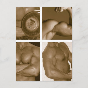 Carte Postale Flex musculaire : www.AriesArtist.com