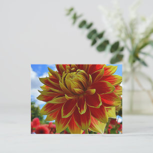 Carte Postale Floral