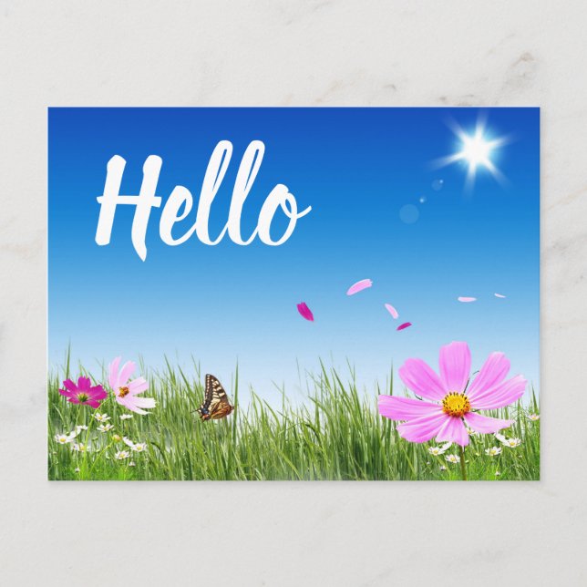 Carte Postale Floral Bonjour Daisy Papillon Fleurs sauvages amis (Devant)