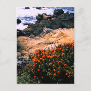 Carte postale Floral Coastal de Californie