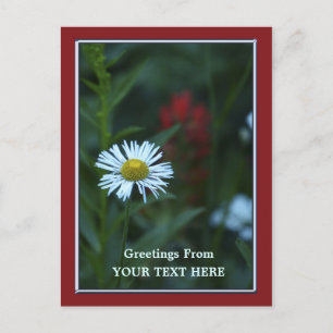 Carte Postale Floral de Blue White