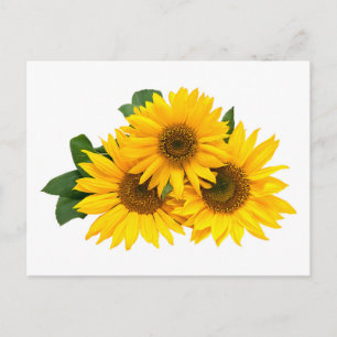 Carte Postale Floral Fleur de soleil jaune - Bonjour, Amour