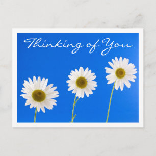 Carte Postale Floral Penser à vous White Daisy Flower - Bonjour