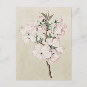 Carte Postale Floral rose clair