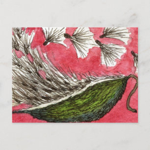 Carte postale florale "Milkweed Pod"