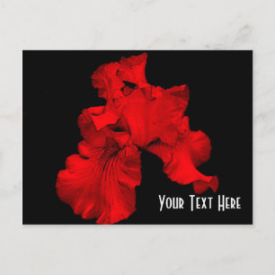 Carte Postale Flore rouge Hot Iris personnalisable