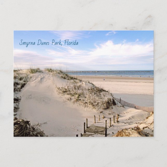 Carte postale Florida Beach Dunes Park Ponce Inlet (Devant)