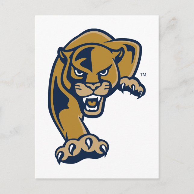 Carte Postale Florida International University Panthers (Devant)