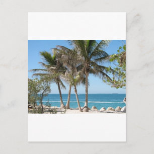 Carte Postale Florida Keys